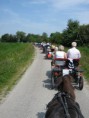 /album/menrit-04-06-2011/zeeuwse-menrit-juni-2011-040-jpg/